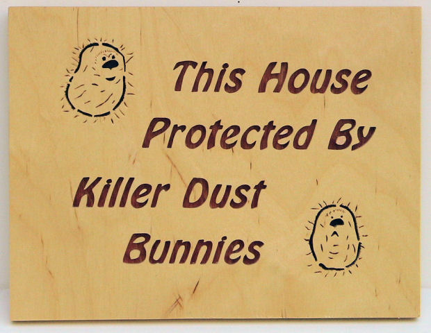 Image result for DUST BUNNIES